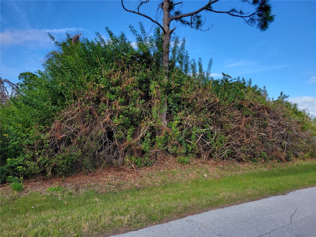 11354 Starflower Avenue Englewood FL 34224 N6130717 image1