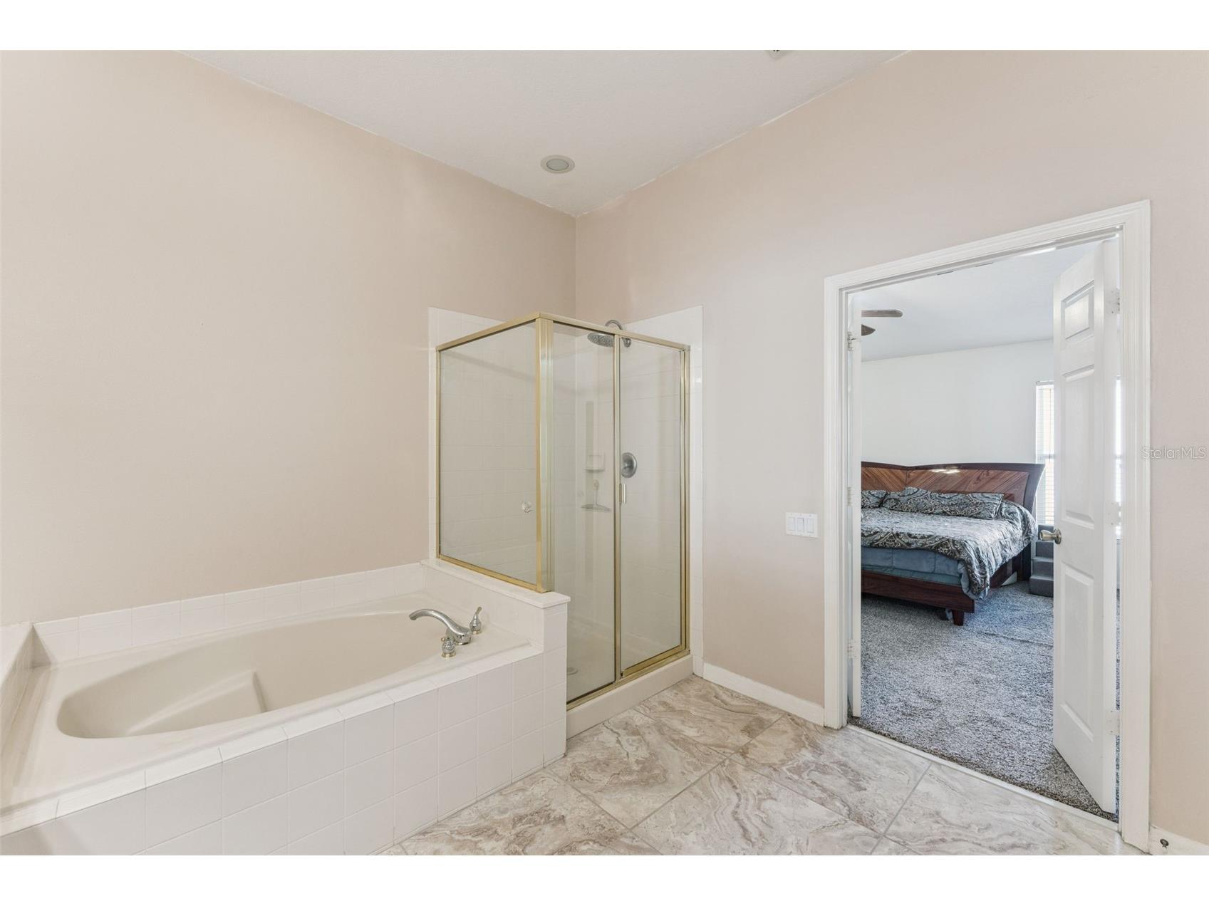 11355 Arborside Bend Way Windermere FL 34786 O6377273 image20