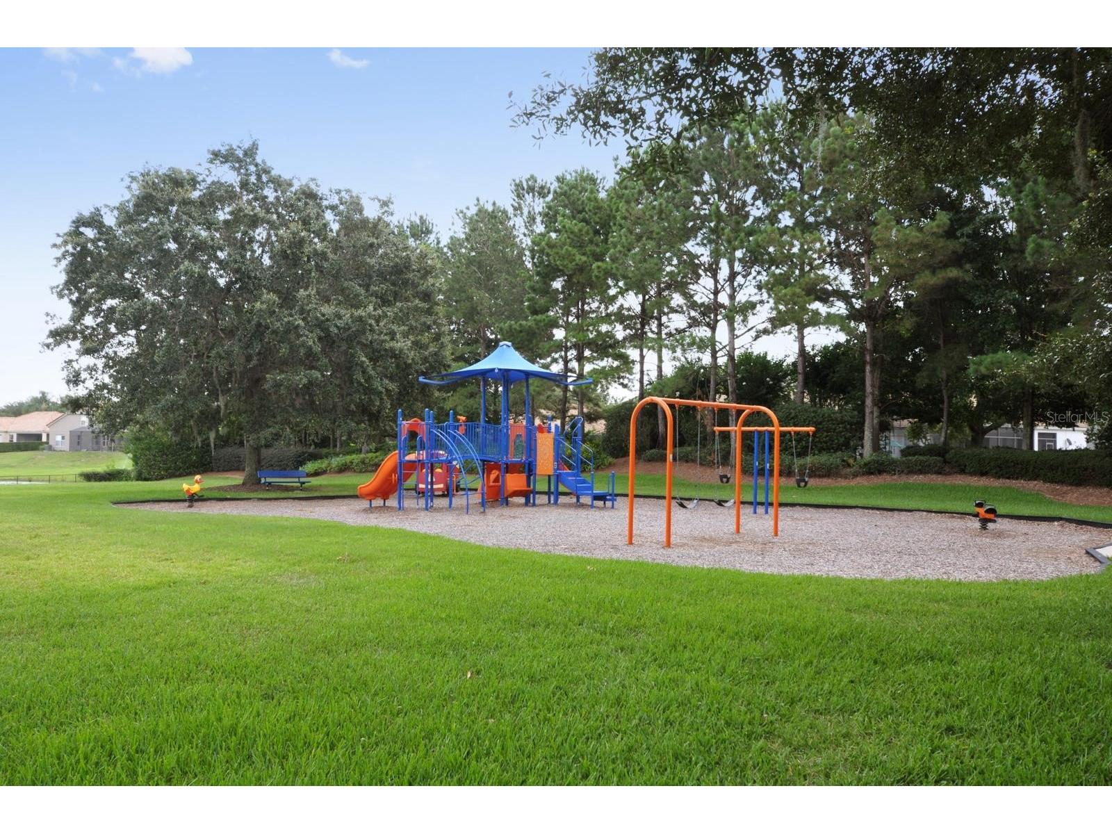 11355 Arborside Bend Way Windermere FL 34786 O6377273 image30