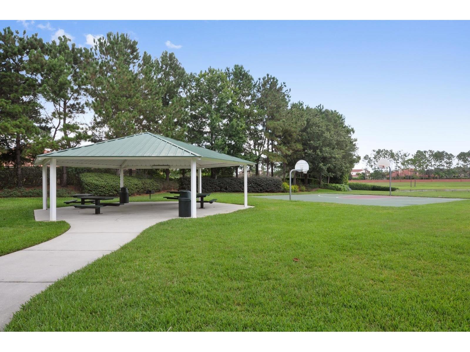 11355 Arborside Bend Way Windermere FL 34786 O6377273 image31