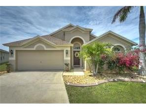 11355 Flora Springs Drive Riverview FL 33579 O6412282 image1