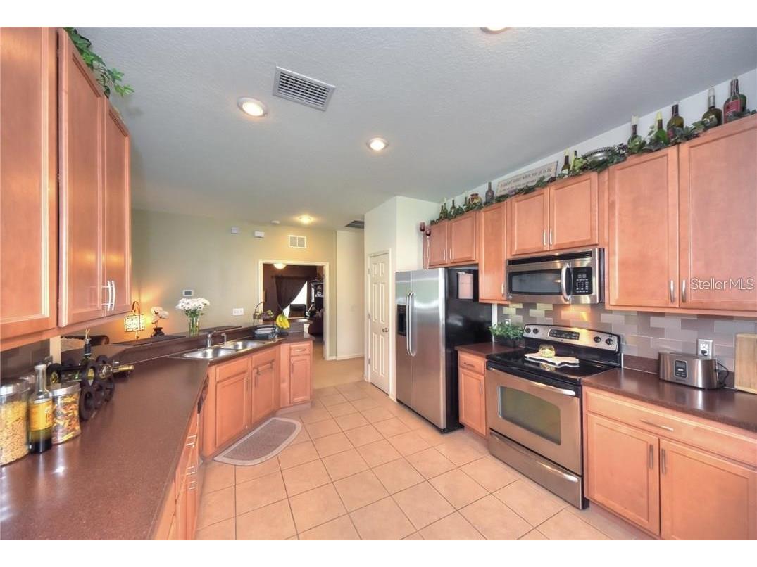 11355 Flora Springs Drive Riverview FL 33579 O6412282 image10