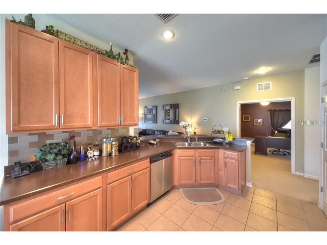 11355 Flora Springs Drive Riverview FL 33579 O6412282 image11