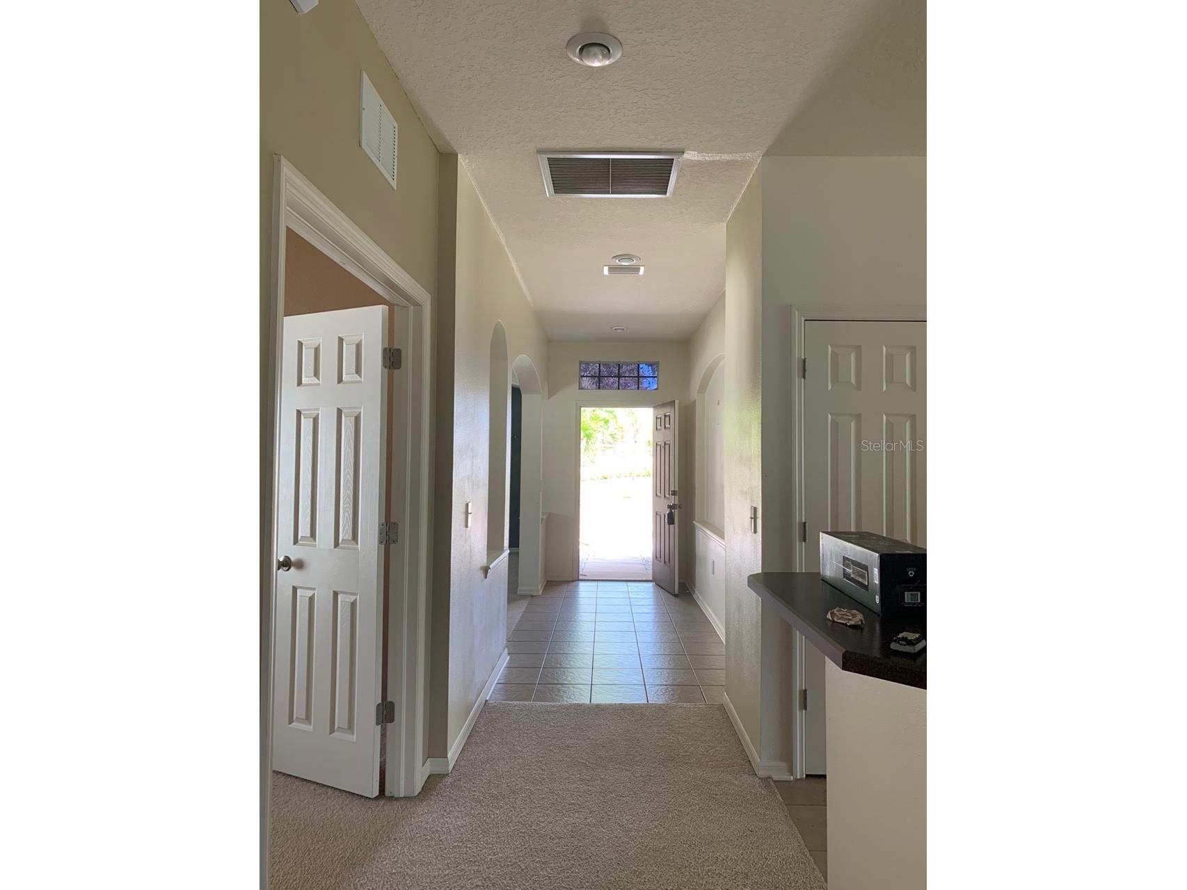 11355 Flora Springs Drive Riverview FL 33579 O6412282 image2
