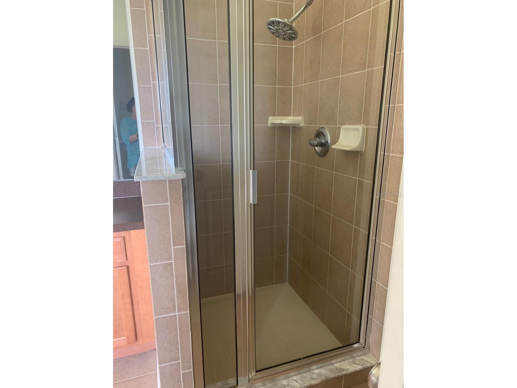 11355 Flora Springs Drive Riverview FL 33579 O6412282 image22