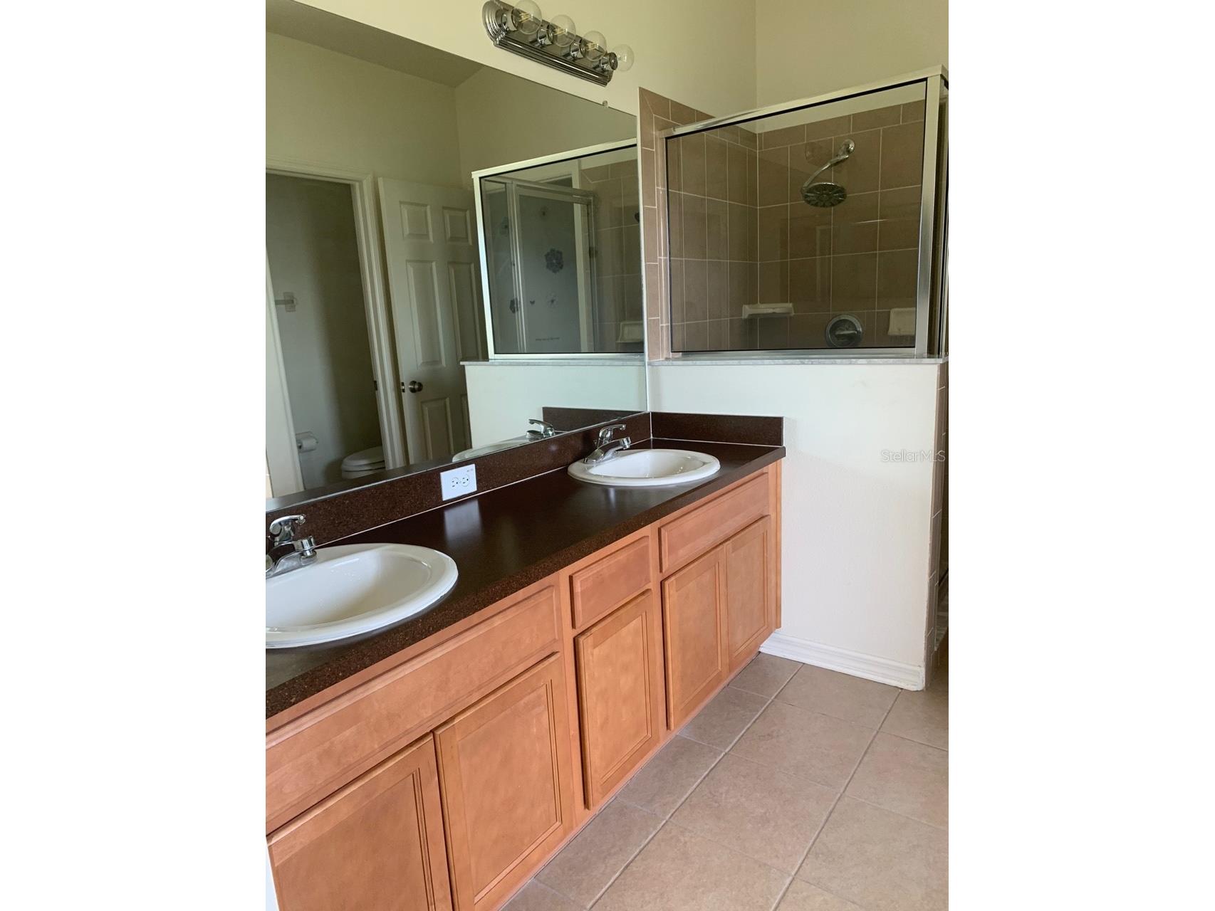 11355 Flora Springs Drive Riverview FL 33579 O6412282 image23