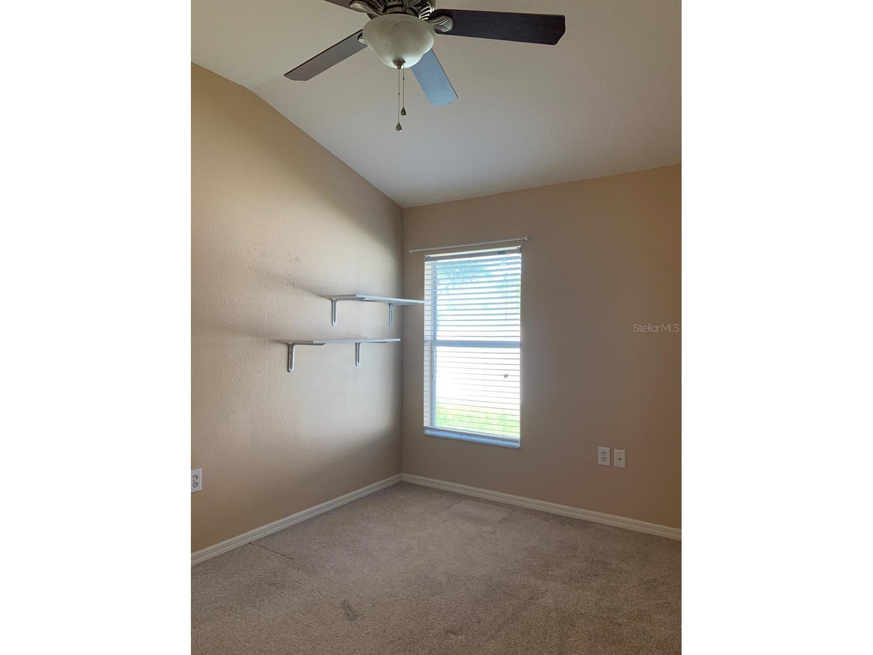 11355 Flora Springs Drive Riverview FL 33579 O6412282 image24