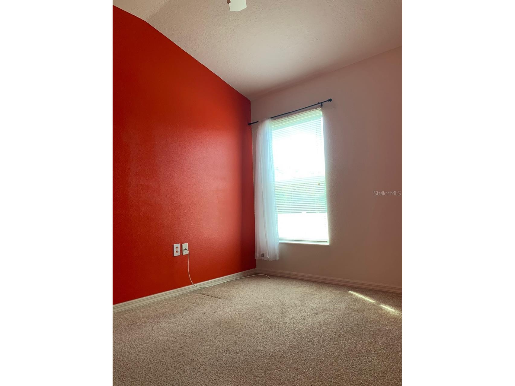 11355 Flora Springs Drive Riverview FL 33579 O6412282 image28