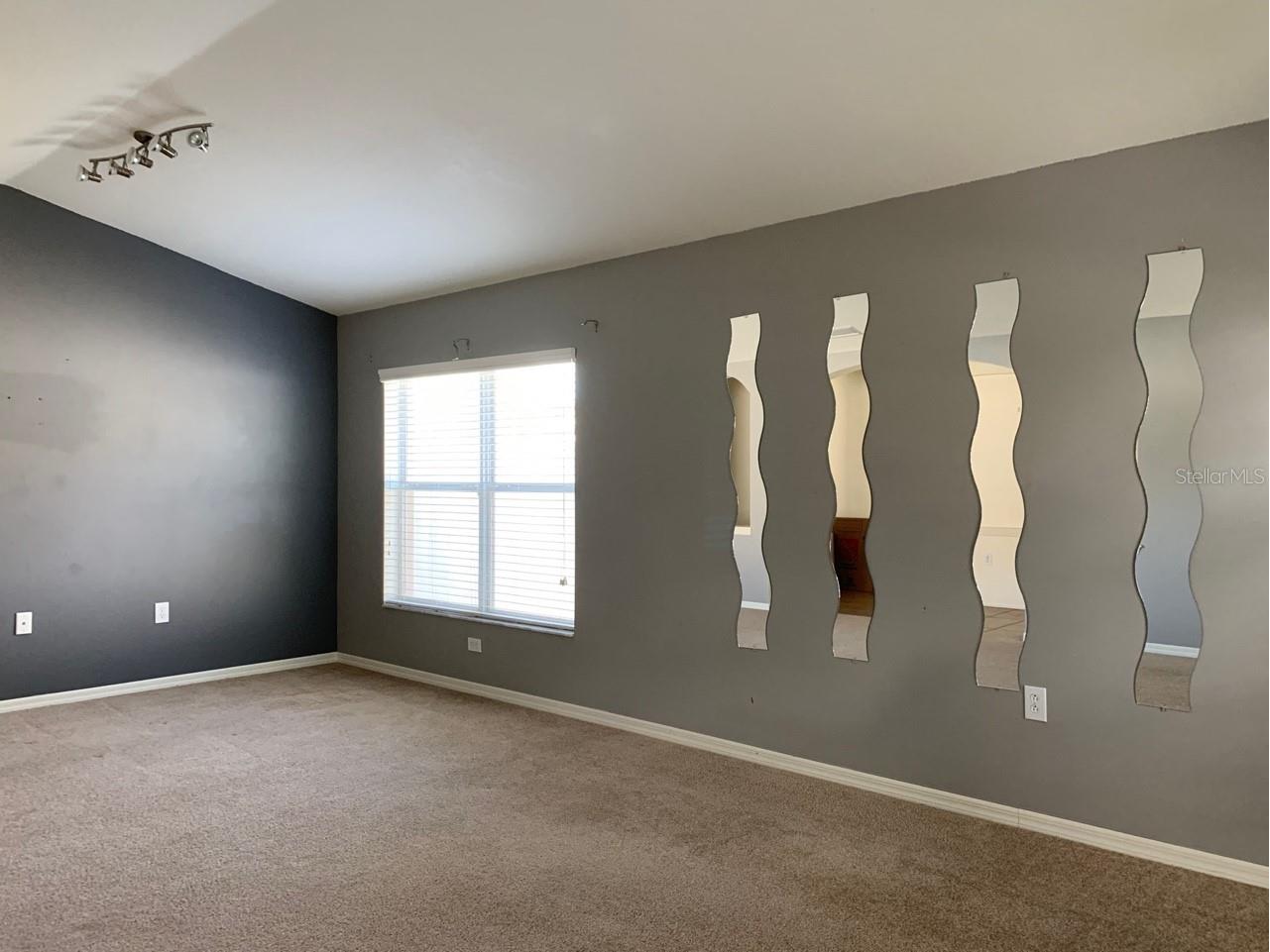 11355 Flora Springs Drive Riverview FL 33579 O6412282 image6