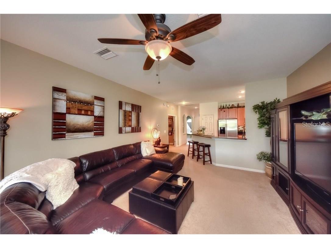 11355 Flora Springs Drive Riverview FL 33579 O6412282 image8