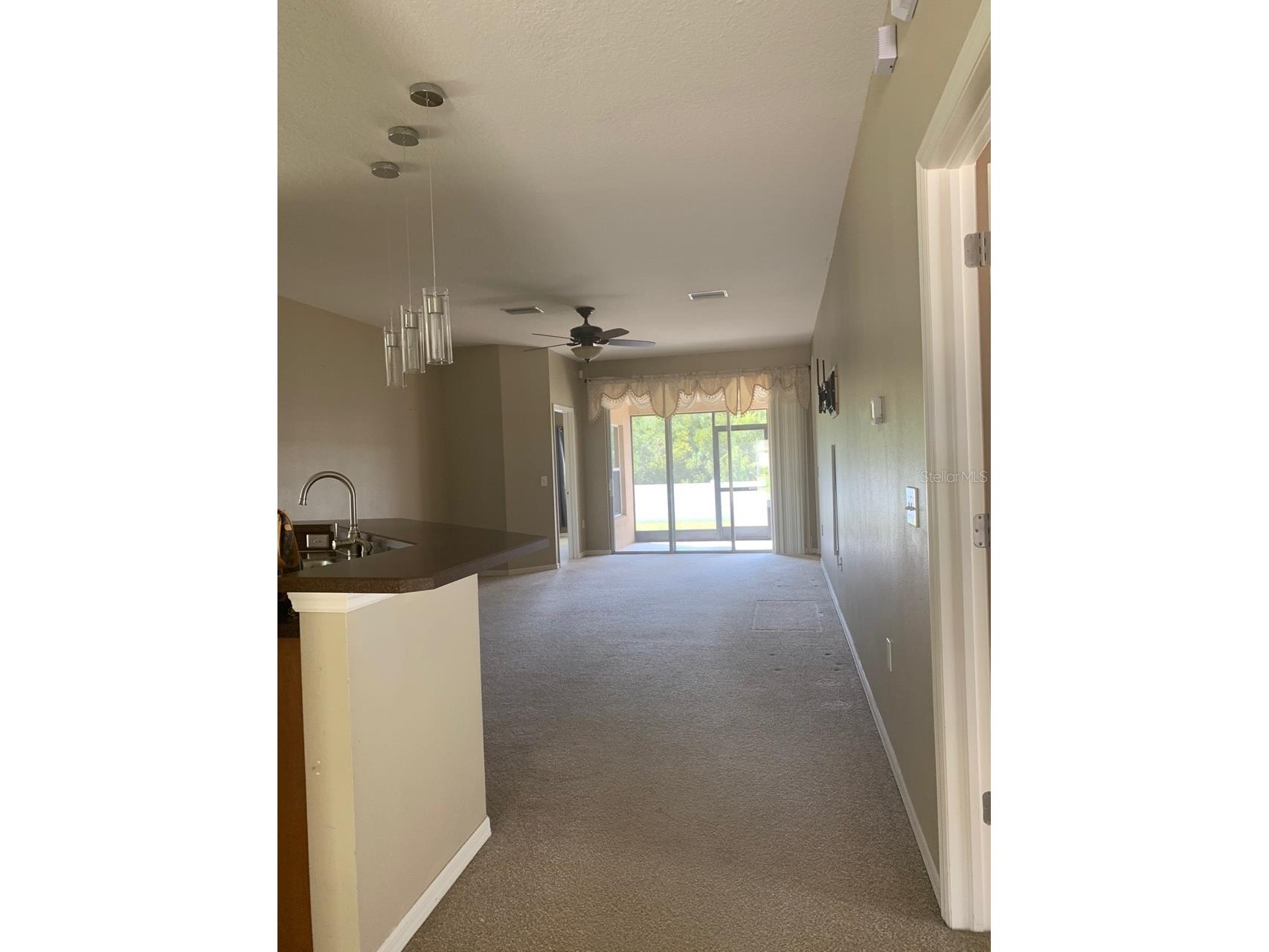 11355 Flora Springs Drive Riverview FL 33579 O6412282 image9