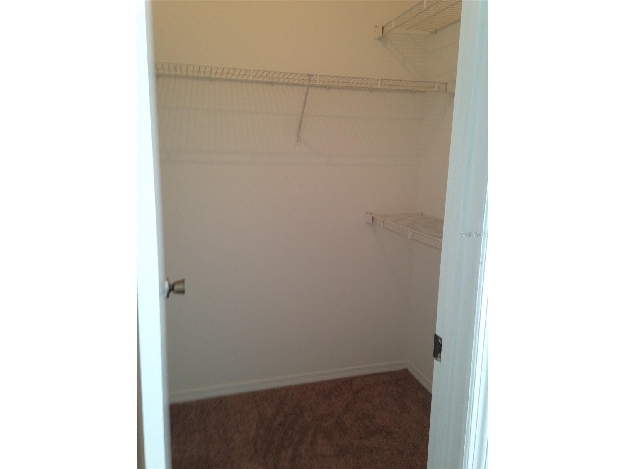 11355 Regal Square Drive Tampa FL 33617 TB8512183 image11