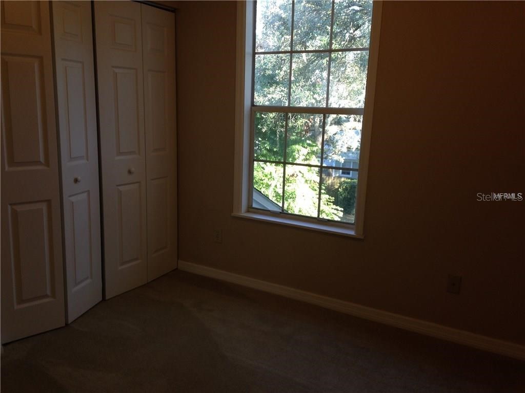 11355 Regal Square Drive Tampa FL 33617 TB8512183 image12