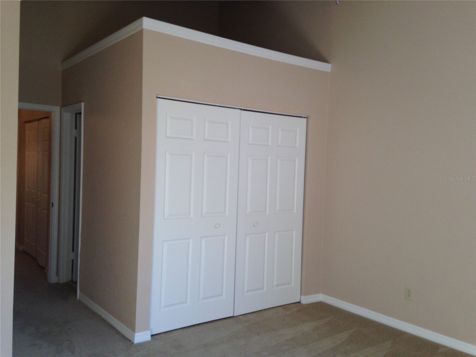 11355 Regal Square Drive Tampa FL 33617 TB8512183 image9