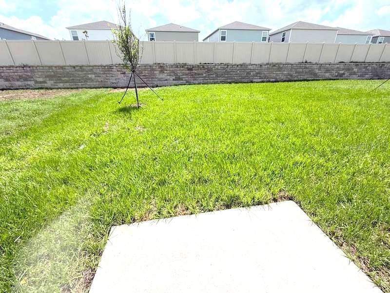 11357 Brae Way Dade City FL 33525 TB8514074 image31