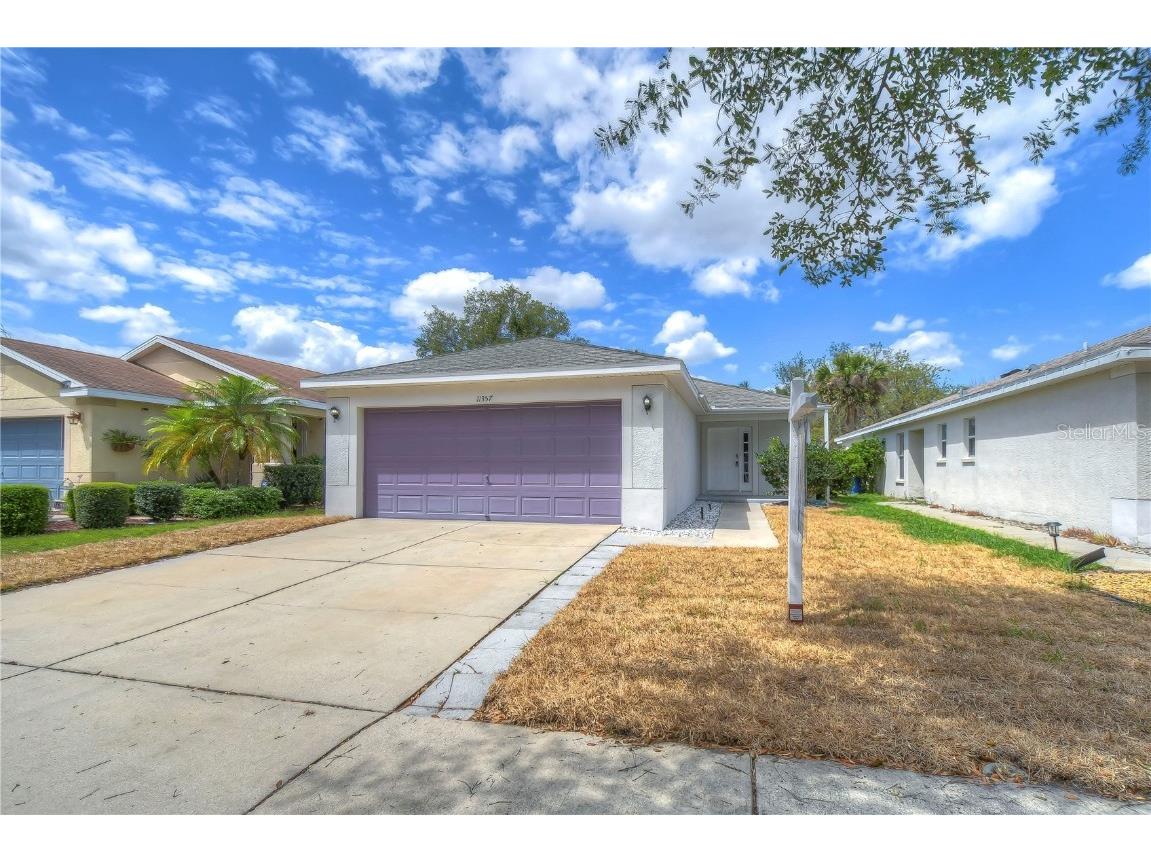 11357 Cocoa Beach Drive Riverview FL 33569 T3439209 image1