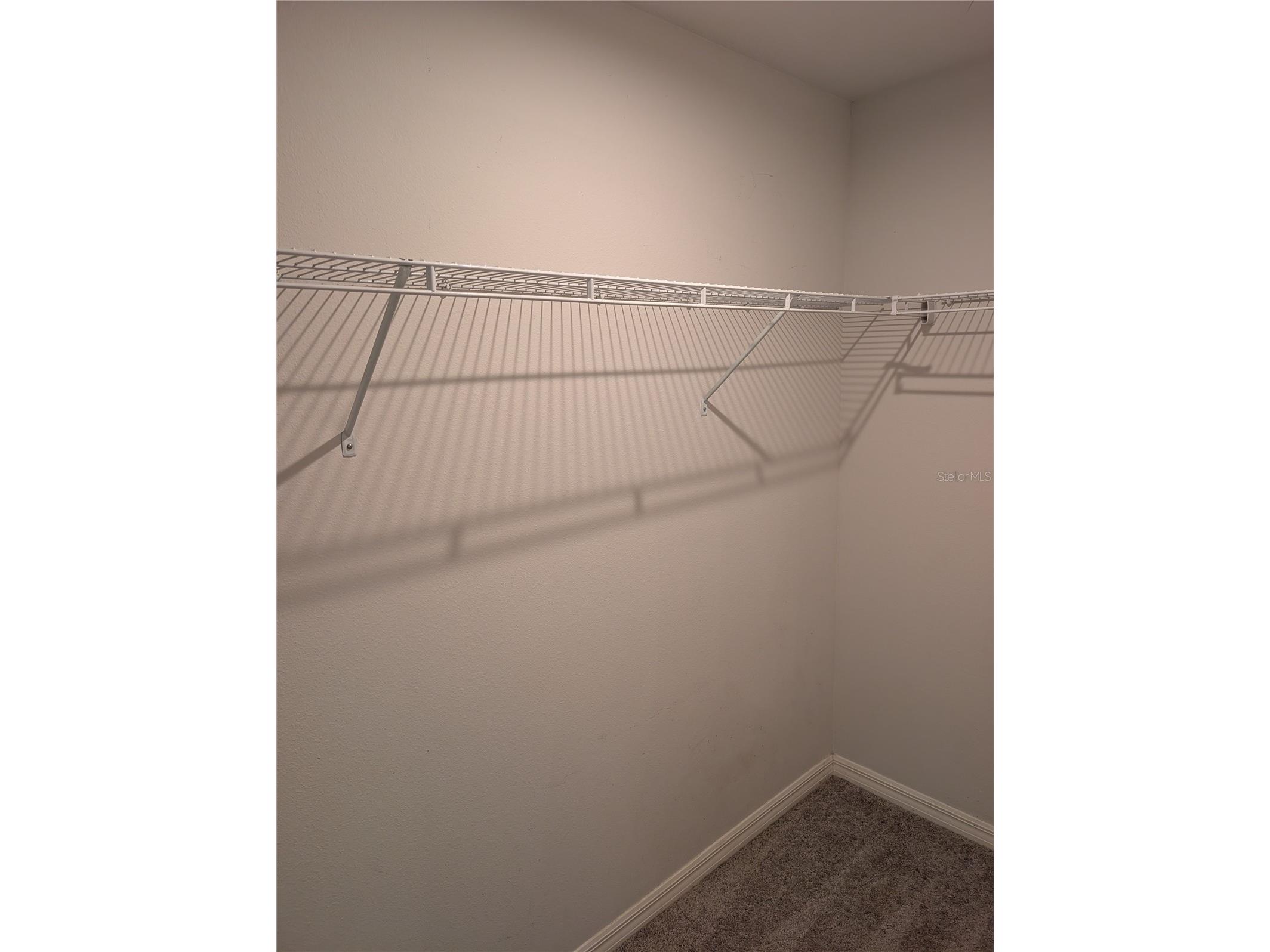 11357 Elgin Boulevard Spring Hill FL 34608 TB8491614 image8