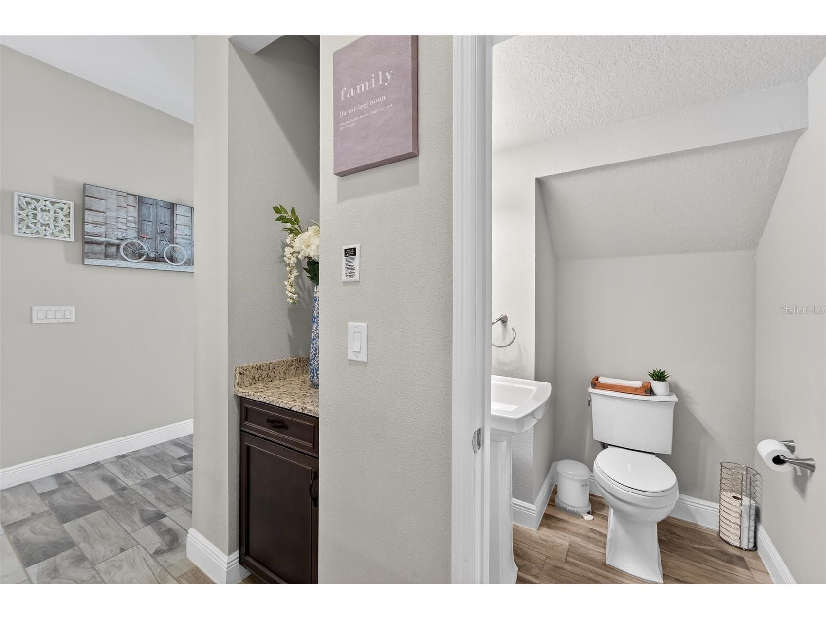 11358 Hawks Fern Drive Riverview FL 33569 TB8488399 image19