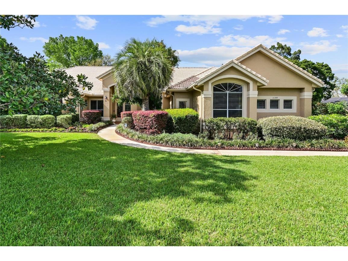 11359 Willow Gardens Drive Windermere FL 34786 O6010457 image1