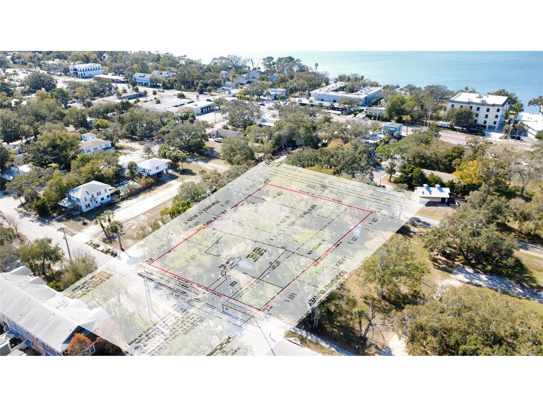 1136 Douglas Avenue Dunedin FL 34698 TB8469648 image1
