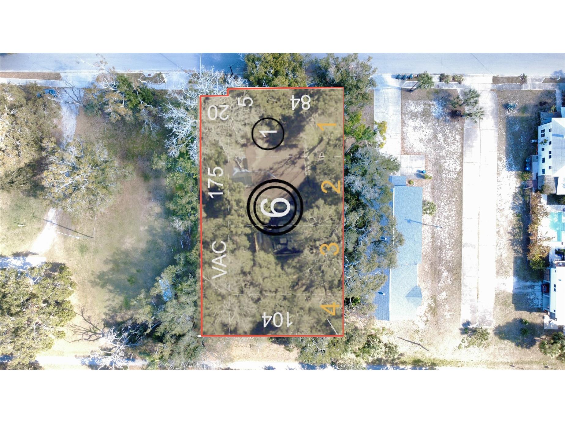 1136 Douglas Avenue Dunedin FL 34698 TB8469648 image3