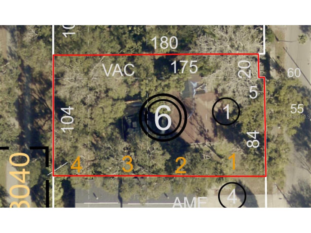 1136 Douglas Avenue Dunedin FL 34698 TB8469648 image4