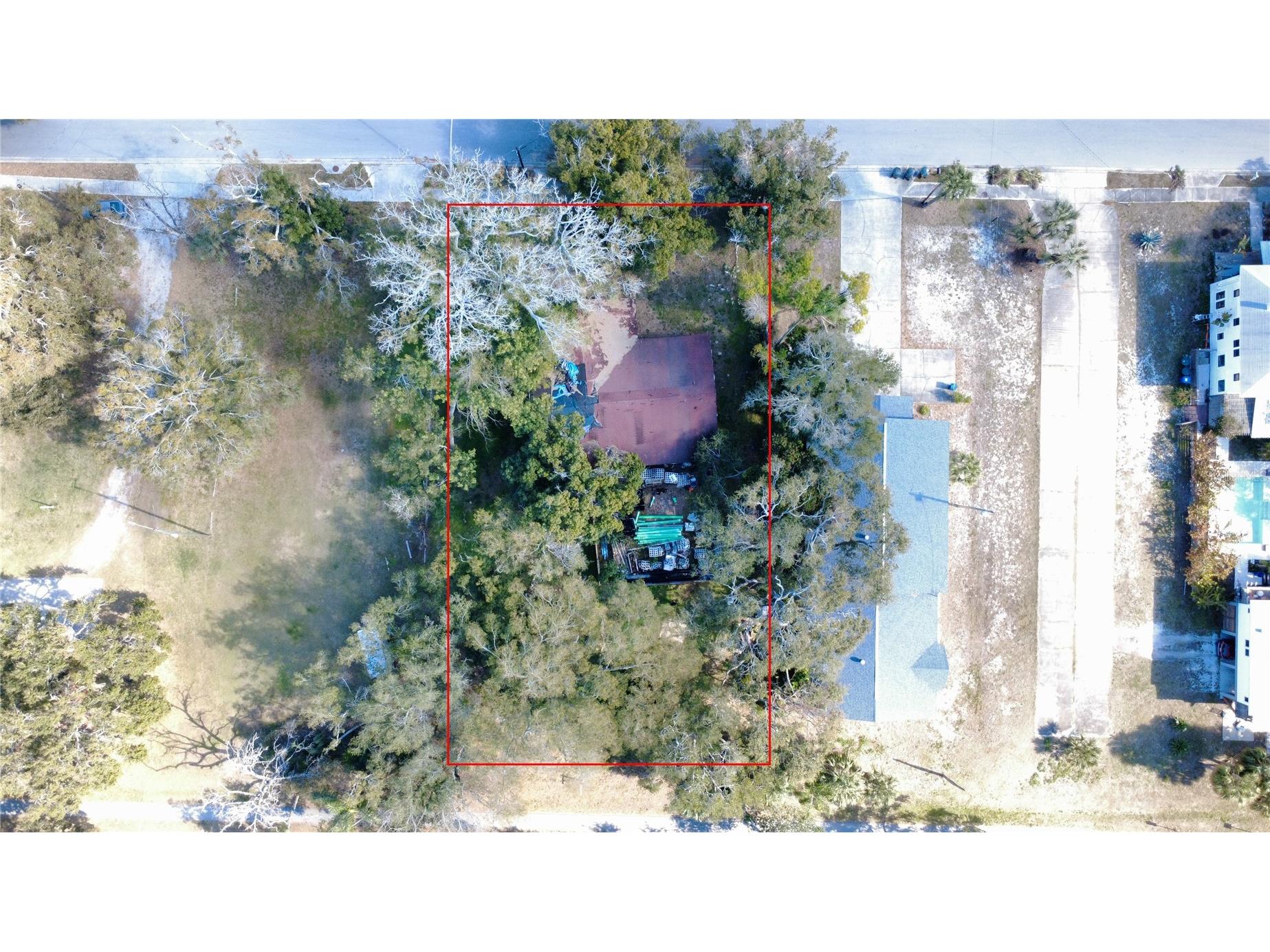 1136 Douglas Avenue Dunedin FL 34698 TB8469648 image5