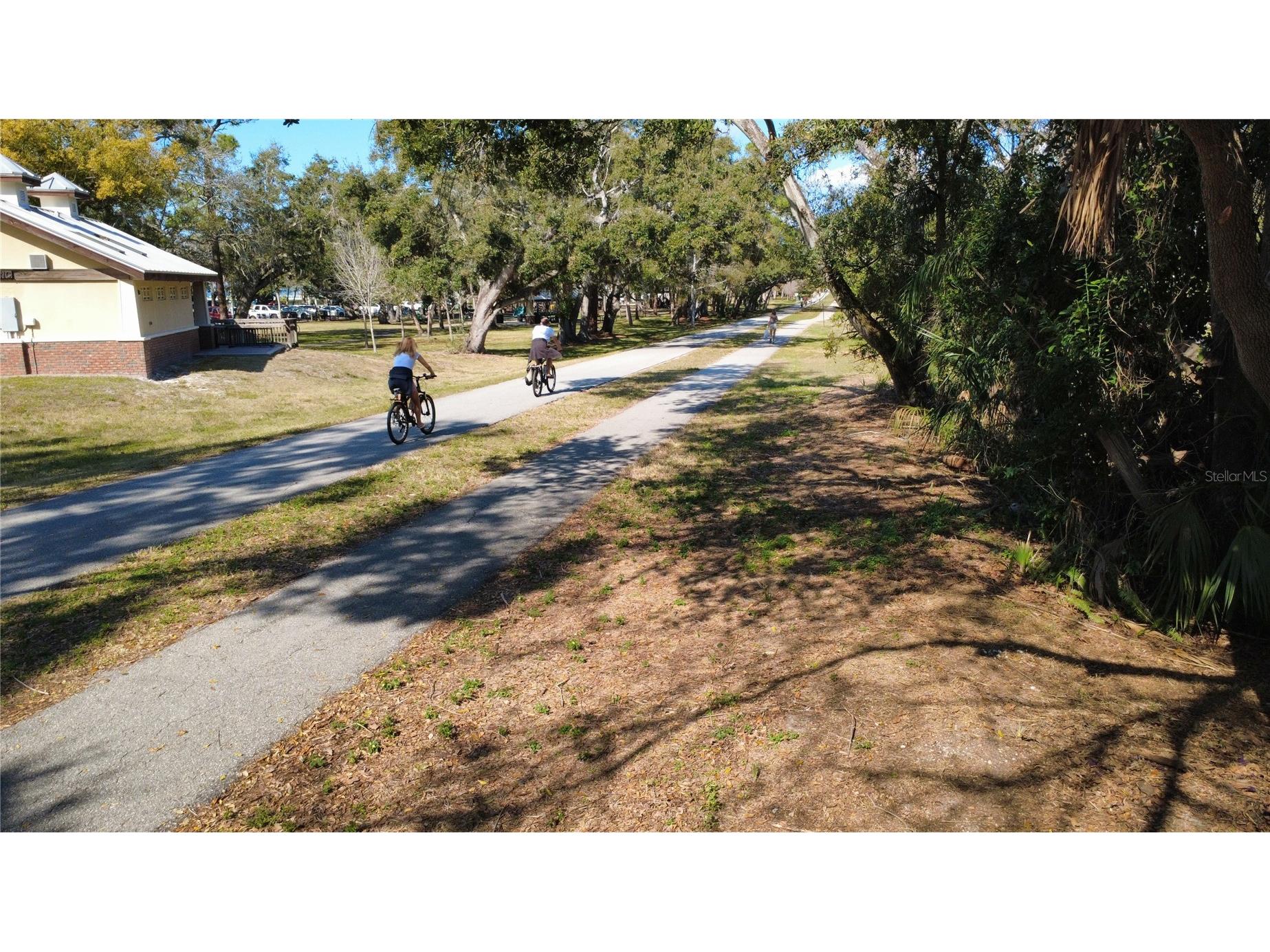 1136 Douglas Avenue Dunedin FL 34698 TB8469648 image7