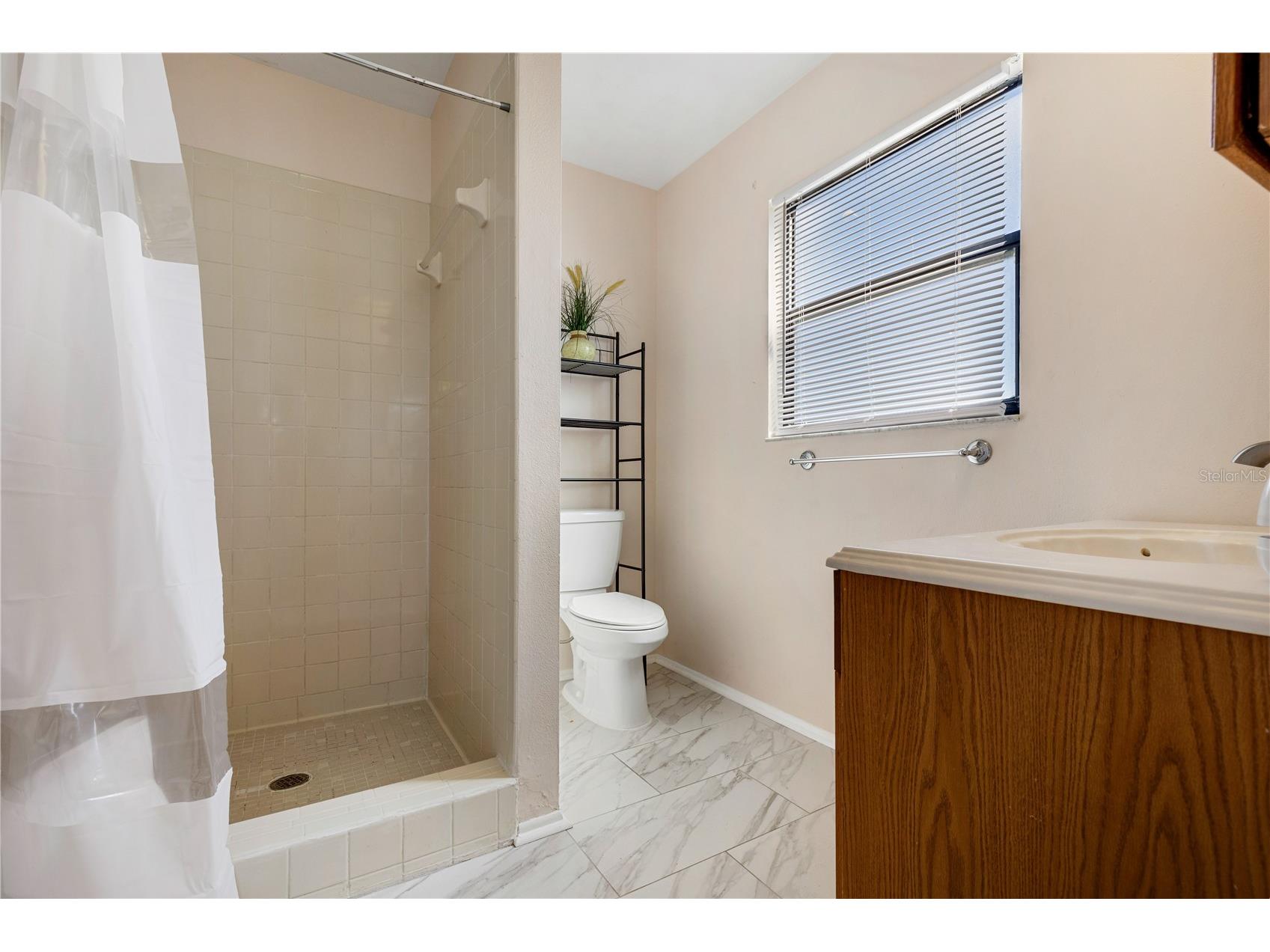 1136 Forbes Trace Tarpon Springs FL 34689 TB8487664 image12