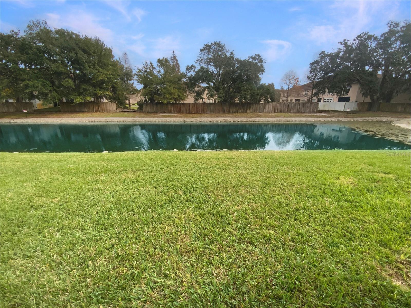 1136 Kennewick Court Wesley Chapel FL 33543 TB8460442 image19