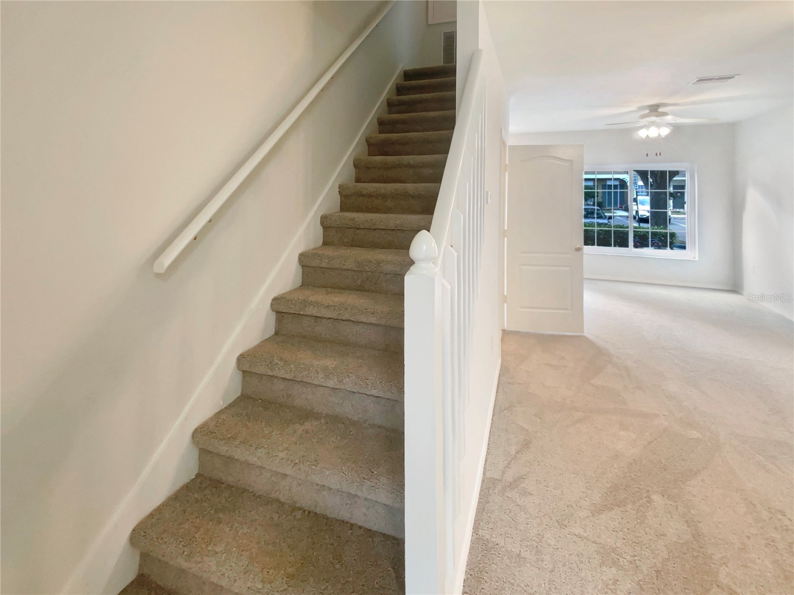 1136 Kennewick Court Wesley Chapel FL 33543 TB8460442 image8
