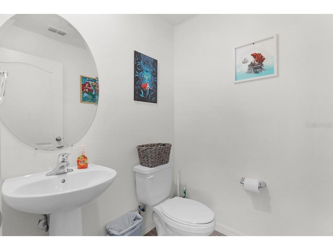 1136 Sea Pines Court Tavares FL 32778 G5105746 image11