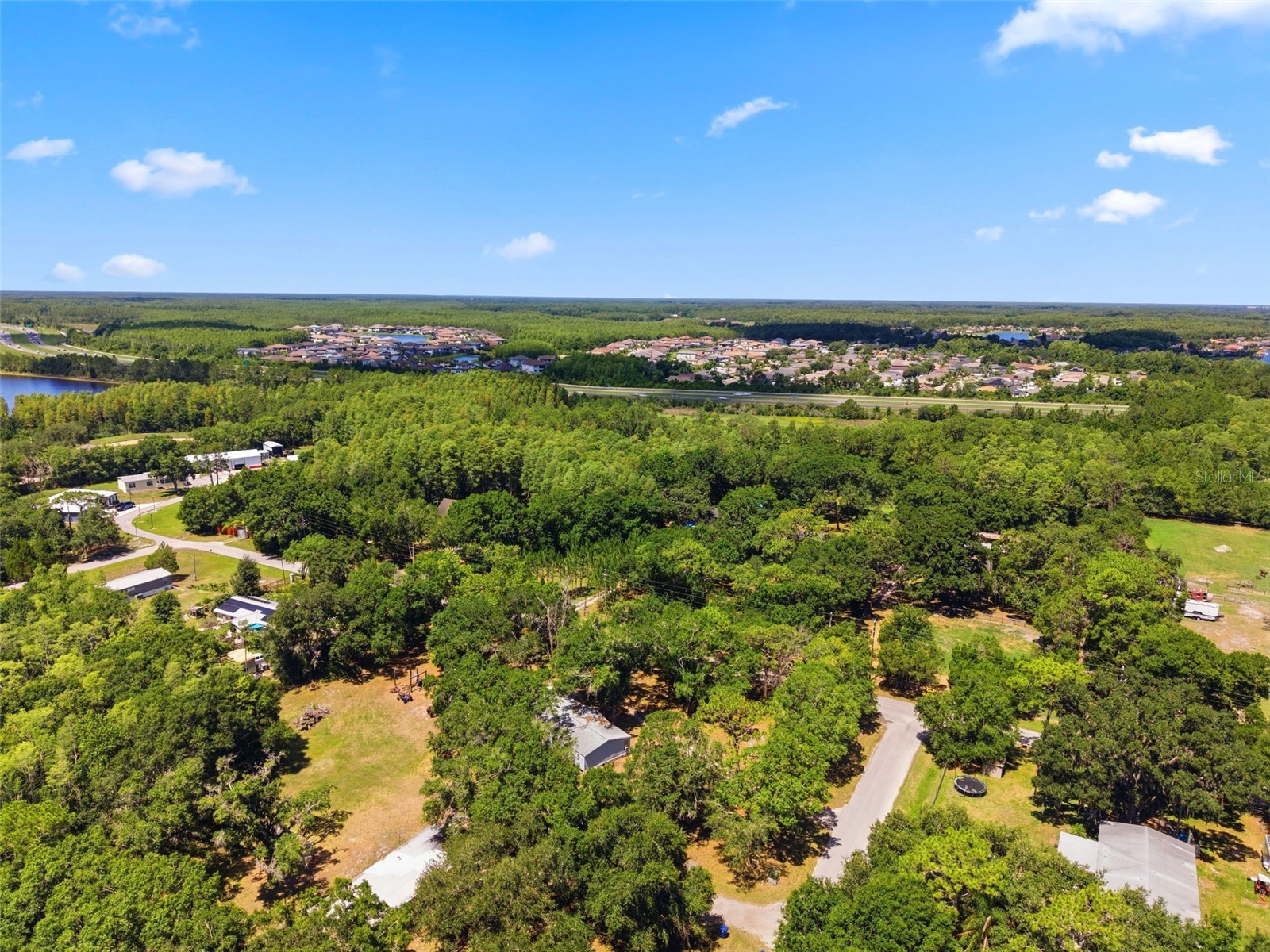 1136 Wildwood Lane Lutz FL 33558 TB8516706 image11