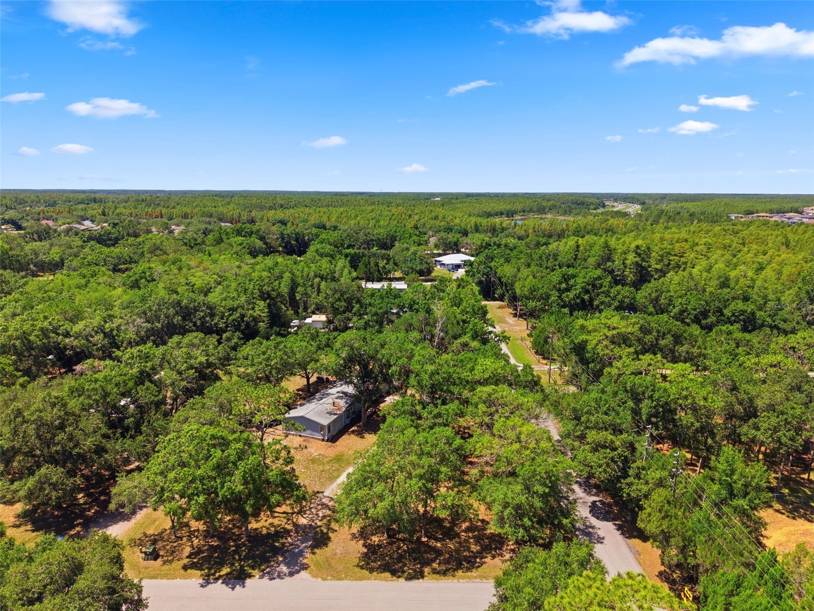 1136 Wildwood Lane Lutz FL 33558 TB8516706 image13