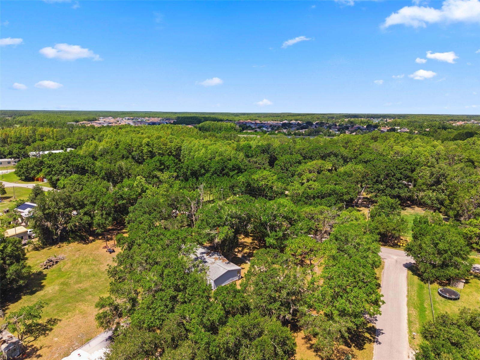 1136 Wildwood Lane Lutz FL 33558 TB8516706 image14