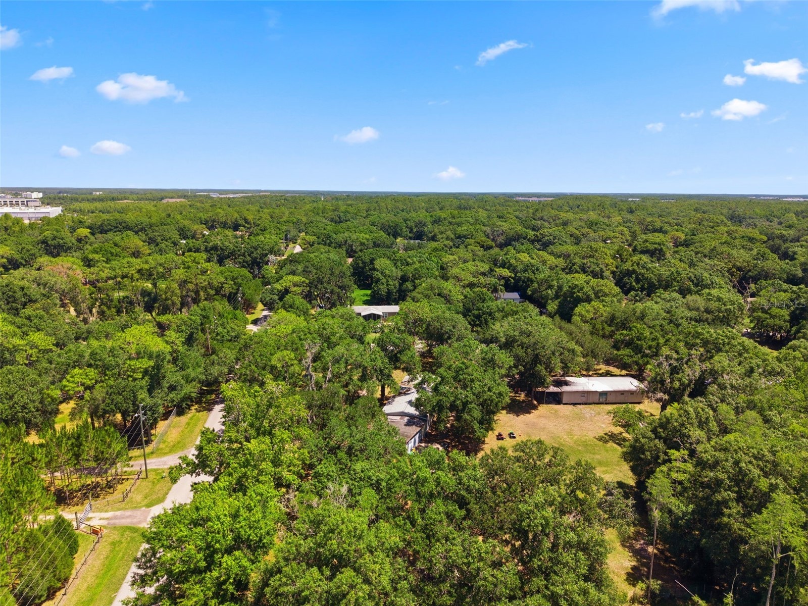 1136 Wildwood Lane Lutz FL 33558 TB8516706 image16