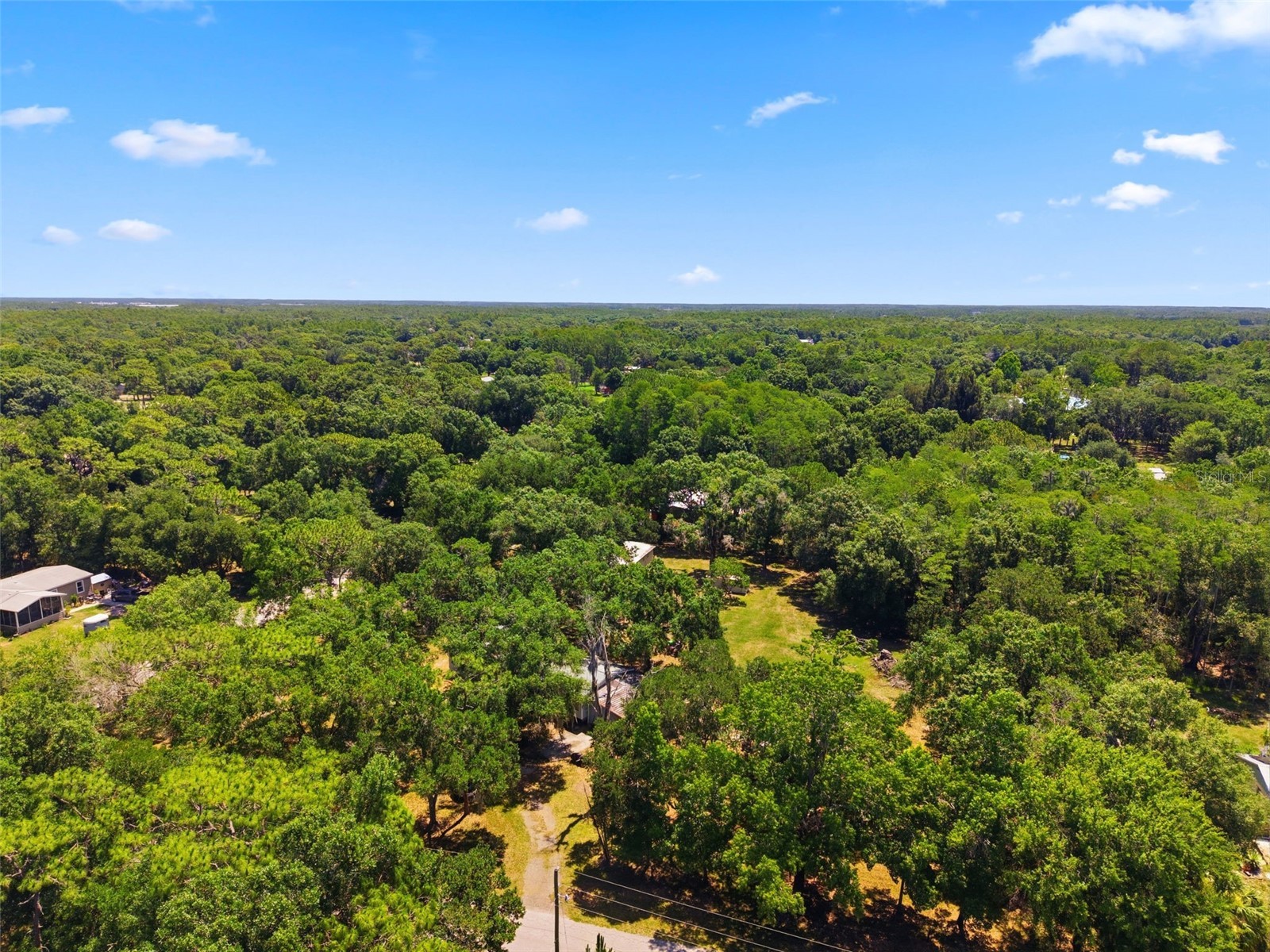 1136 Wildwood Lane Lutz FL 33558 TB8516706 image17