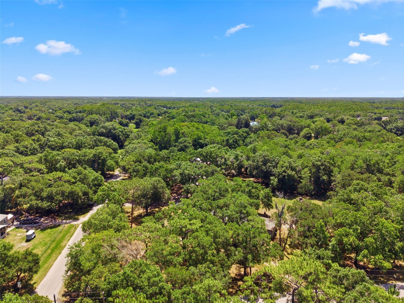 1136 Wildwood Lane Lutz FL 33558 TB8516706 image18