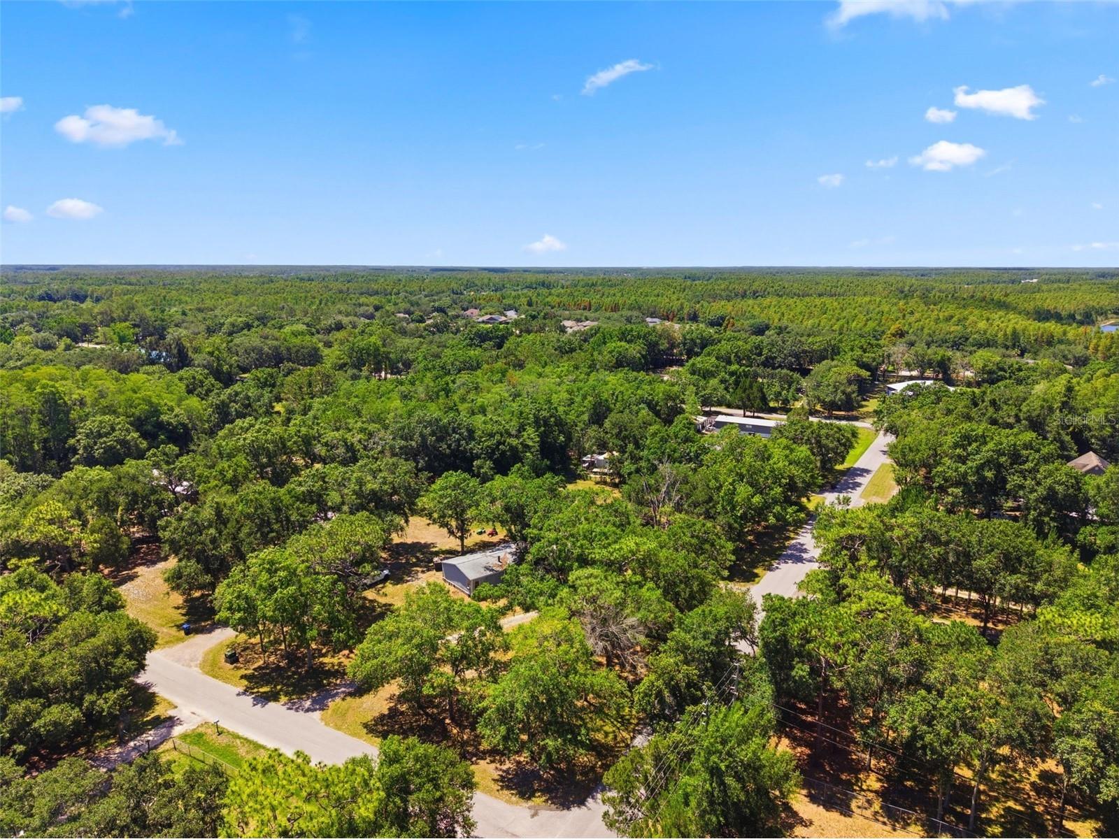 1136 Wildwood Lane Lutz FL 33558 TB8516706 image19