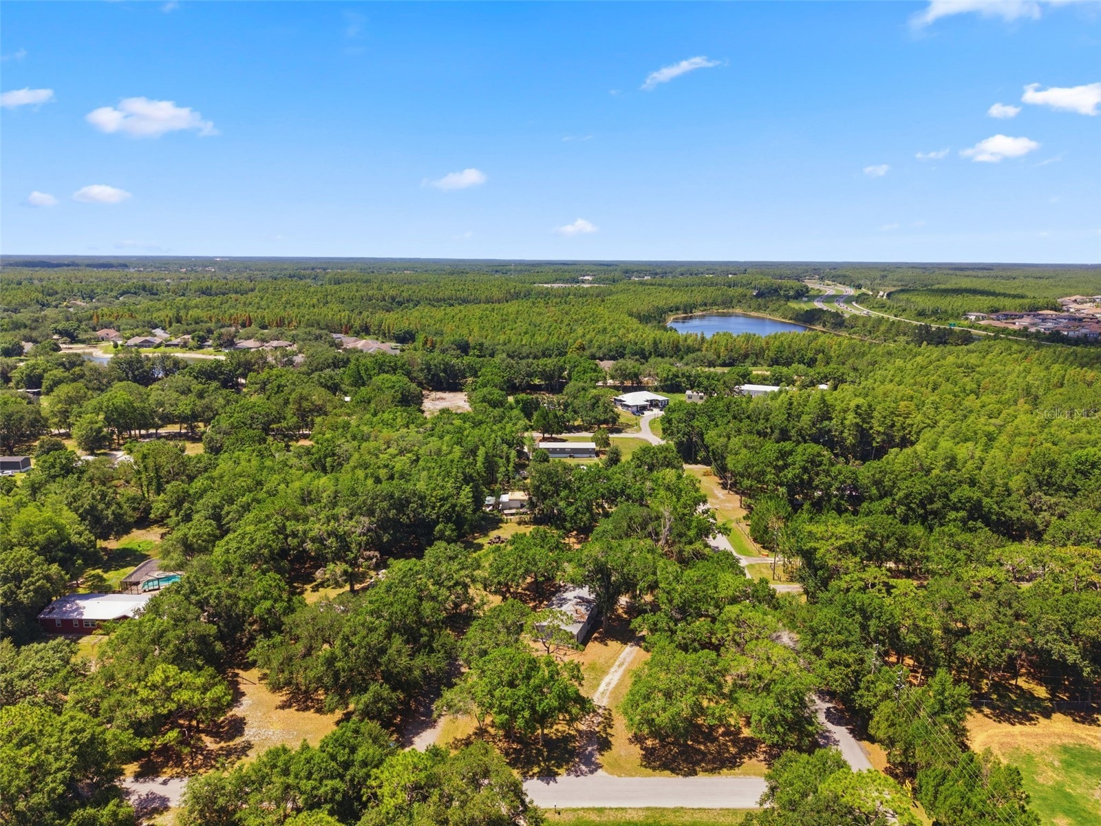 1136 Wildwood Lane Lutz FL 33558 TB8516706 image20