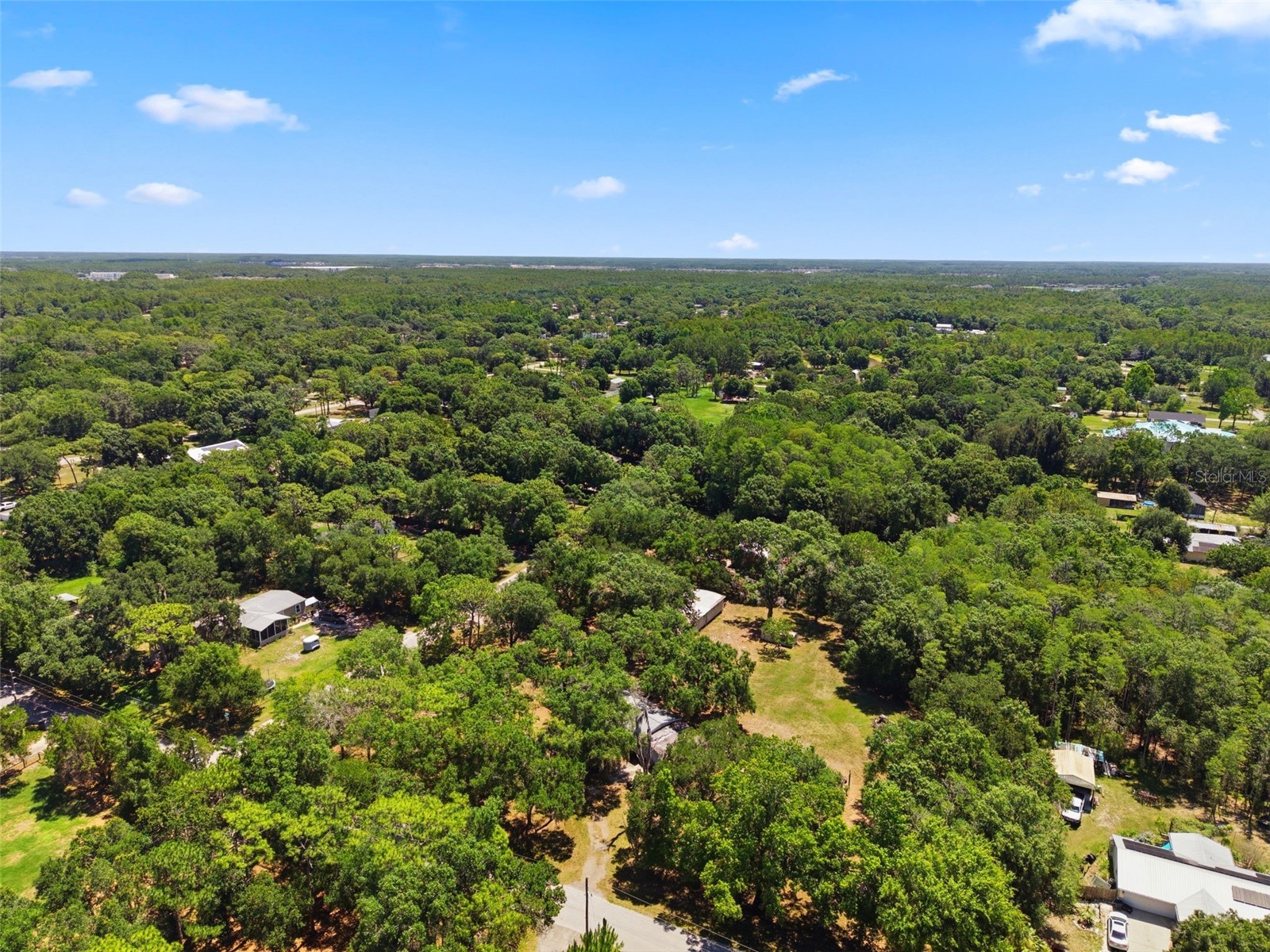 1136 Wildwood Lane Lutz FL 33558 TB8516706 image22