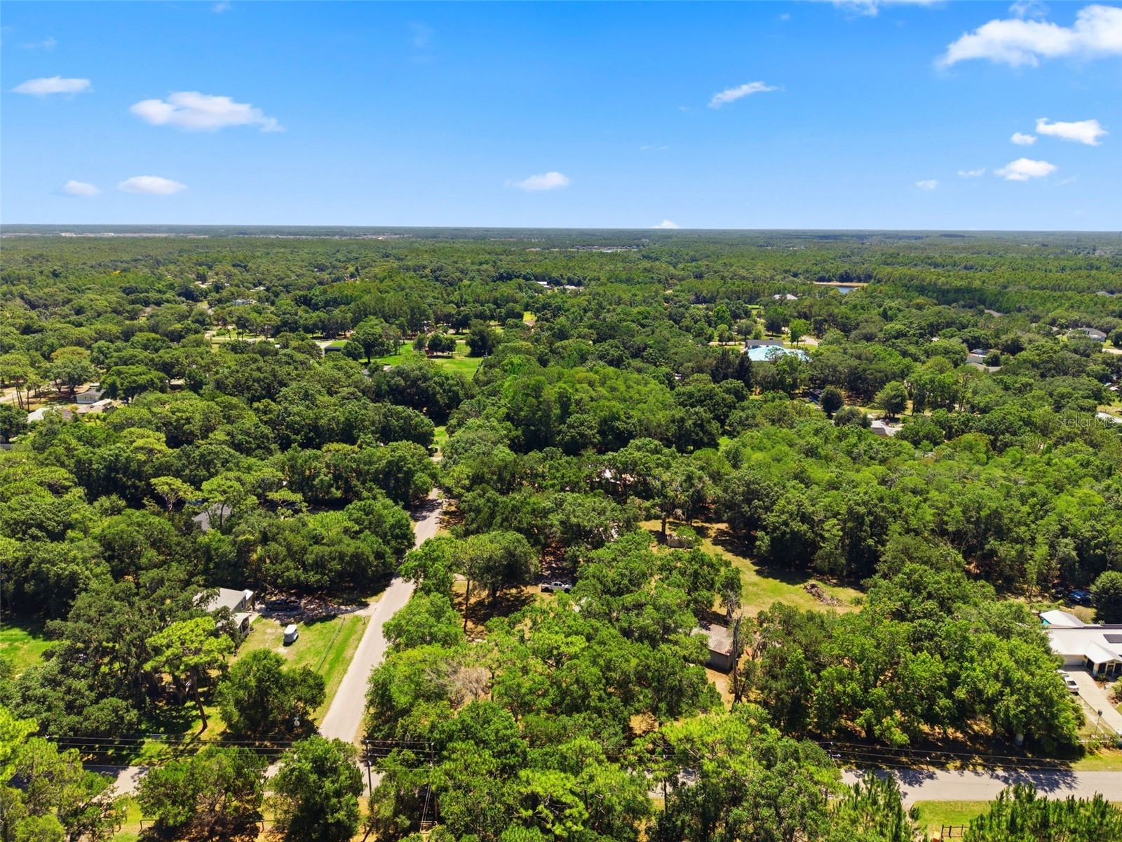 1136 Wildwood Lane Lutz FL 33558 TB8516706 image23