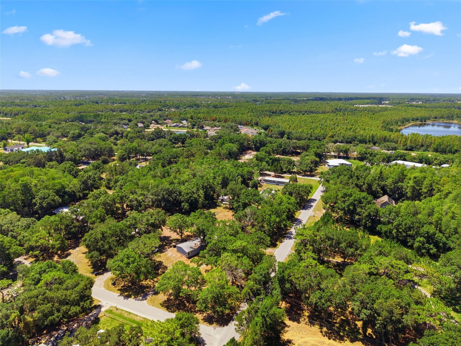 1136 Wildwood Lane Lutz FL 33558 TB8516706 image6