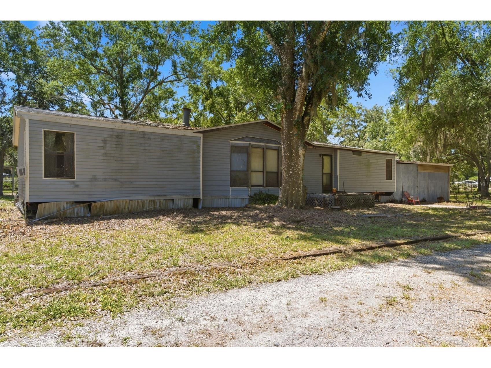 1136 Wildwood Lane Lutz FL 33558 TB8516706 image9