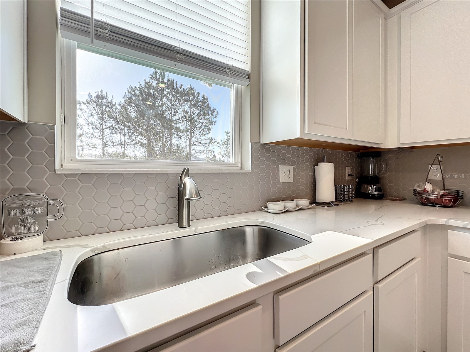 11360 Cay Spruce Way San Antonio FL 33576 TB8514099 image22
