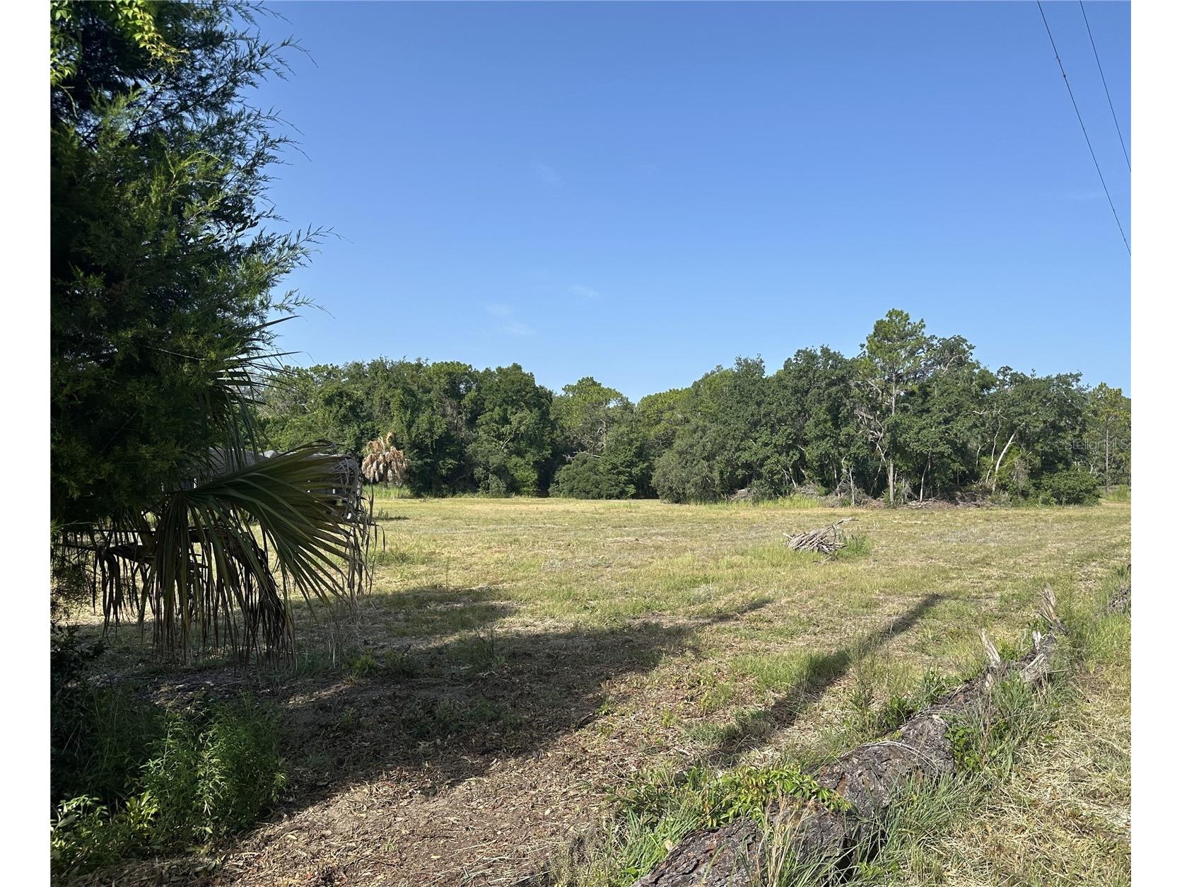 11360 S Florida Avenue Floral City FL 34436 TB8527478 image2