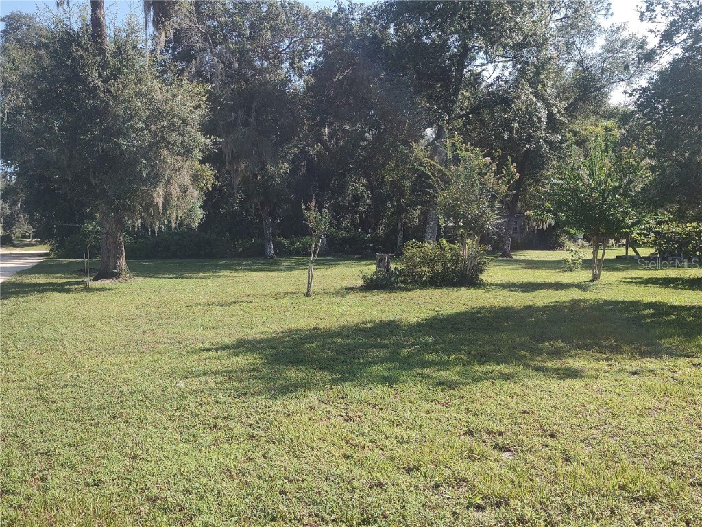 11360 SE 188th Avenue Ocklawaha FL 32179 - LAKE CATHERINE O6335187 image3