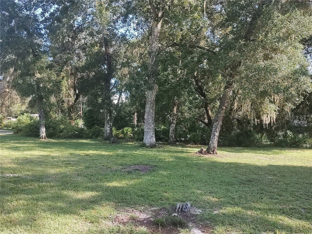 11360 SE 188th Avenue Ocklawaha FL 32179 - LAKE CATHERINE O6335187 image35