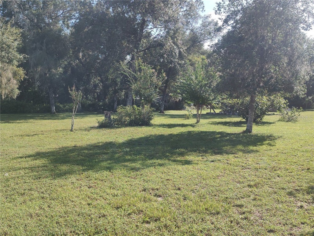 11360 SE 188th Avenue Ocklawaha FL 32179 - LAKE CATHERINE O6335187 image38