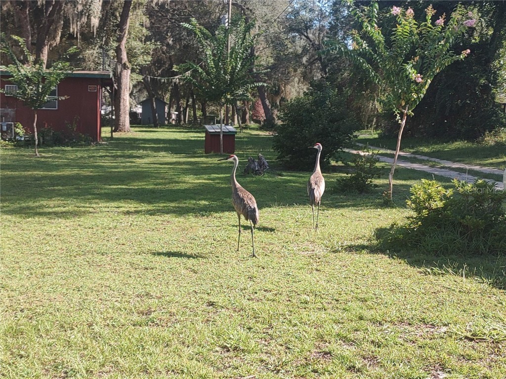 11360 SE 188th Avenue Ocklawaha FL 32179 - LAKE CATHERINE O6335187 image47